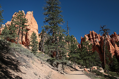 Bryce Canyon : Utah : Landscape Photos : Richard Moore : Photographer